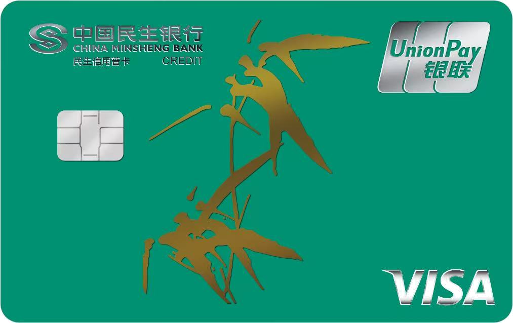 民生银联-Visa标准信用普卡
